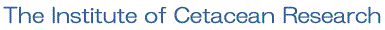 The Institute of Cetacean Research
