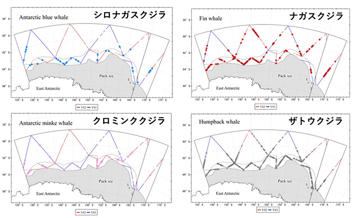 ��v�q�Q�N�W��4��