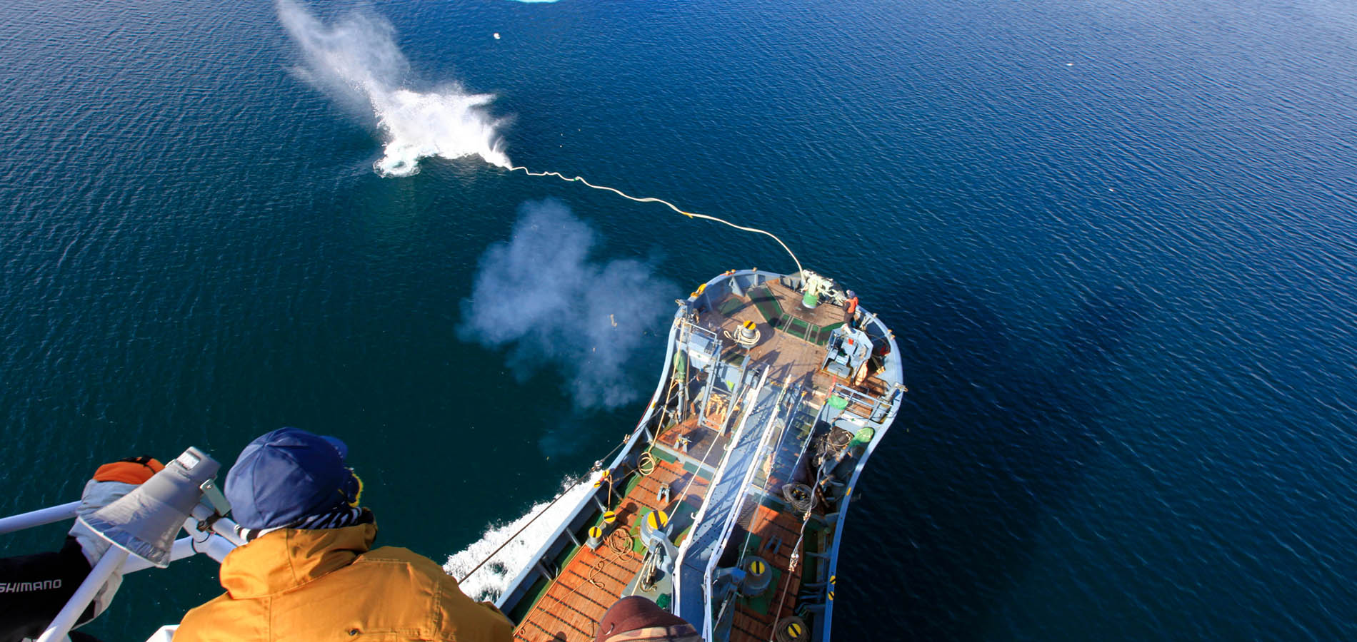 Information about previous and ongoing survey collection of biological data on whales,cetacean resource assessment and research findings 