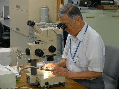 Iwc scientific committee hotsell