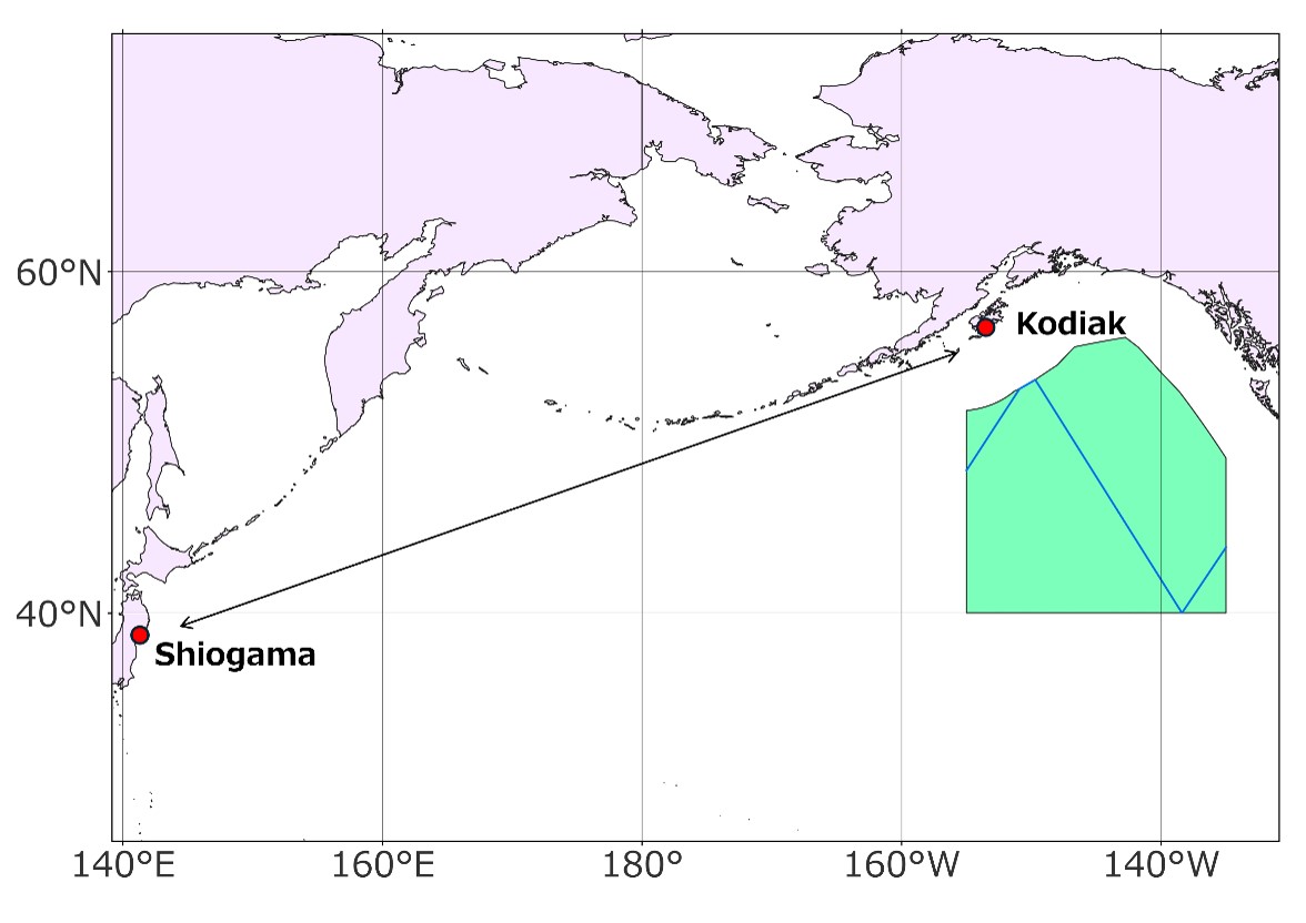 2026surveymap