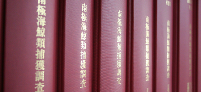 ICR whale research data are available to facilitate utilization by scientists. Please refer to the protocols for data access