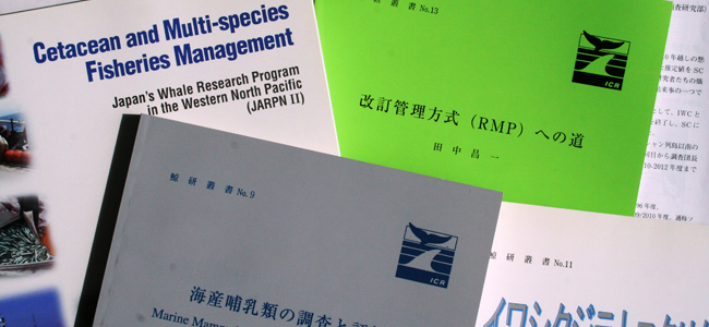 The Institute of Cetacean Research activities, publications and information about how to support ICR 